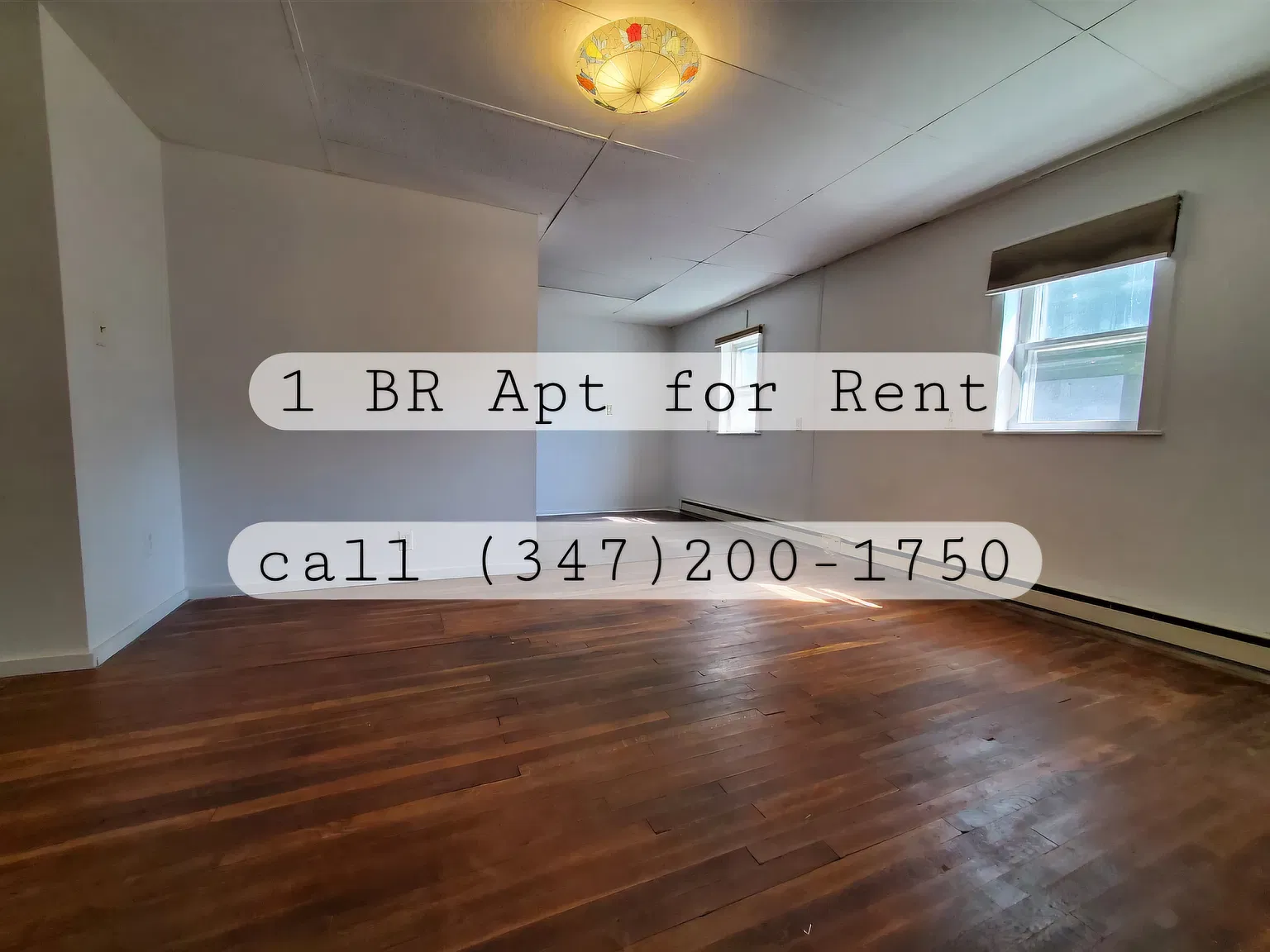1 bed, $850 — Photo 3