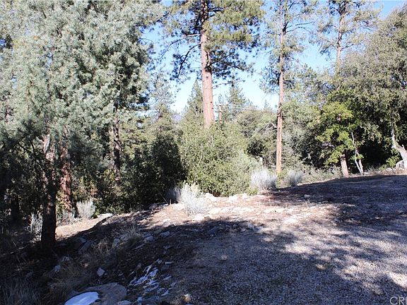 5th image of 1825 Bernina Dr