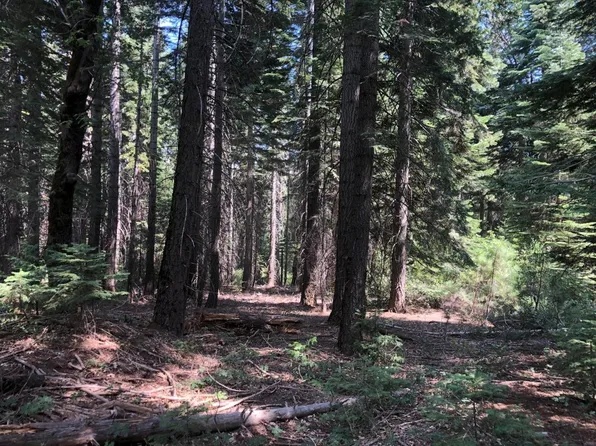 14145 Robbins Ranch Rd, Nevada City, CA 95959