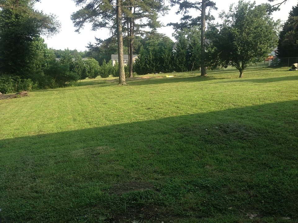 Another view of back yard