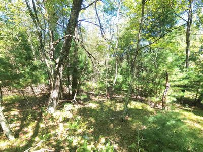 West Pine Creek Road, Hixton, WI, 54635