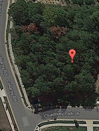 3rd image of 3001 Chasbury Park Dr