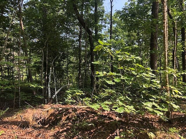 2nd image of 26 Dogwood Flat Rd