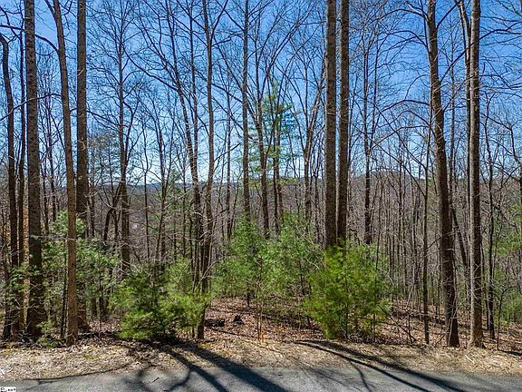 2nd image of 132 Overlook Park Dr