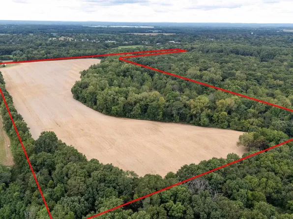 53 Private Rd, De Soto, IL 62924