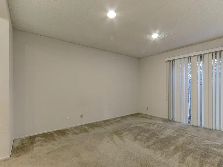 10981 Lucky Oak St — Photo 9