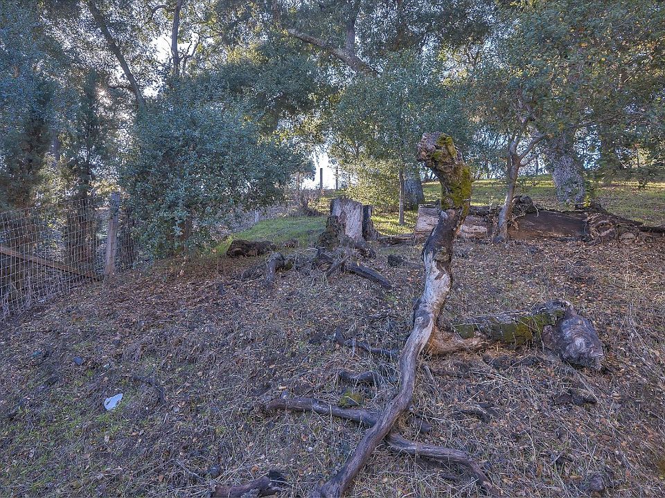 2nd image of 5225 Barrenda Ave