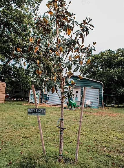 133A Chavez Trl #6 — Photo 14