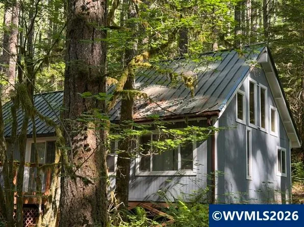 66B Stahlman Fs Rd #49, Detroit, OR 97342