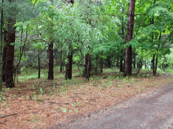 Maple View Ct, Central Lake, MI 49622