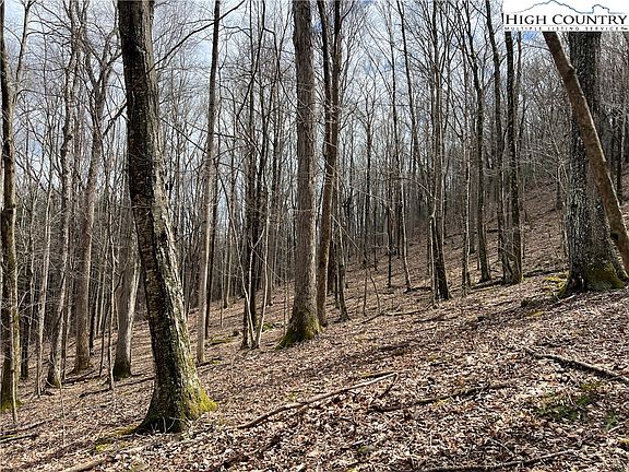 5th image of TBD Hickory Heights Drive