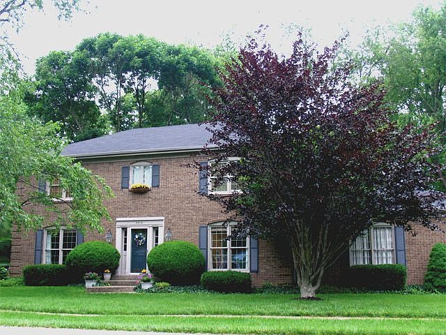 Front View of Home