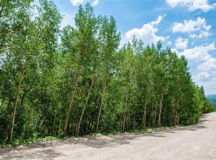 1176 Quartzville Rd, Alma, CO 80420