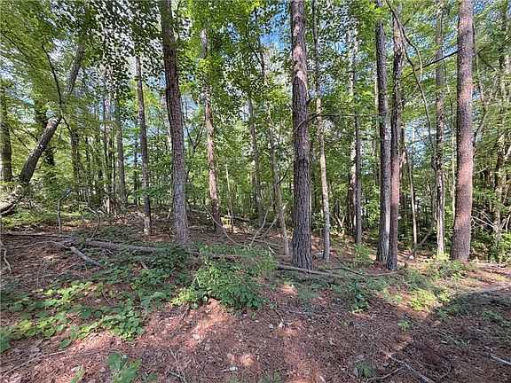 3rd image of 1306 Southgate Dr #306