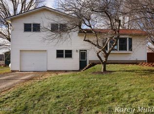 11558 Elm Rd, Clarksville, MI 48815