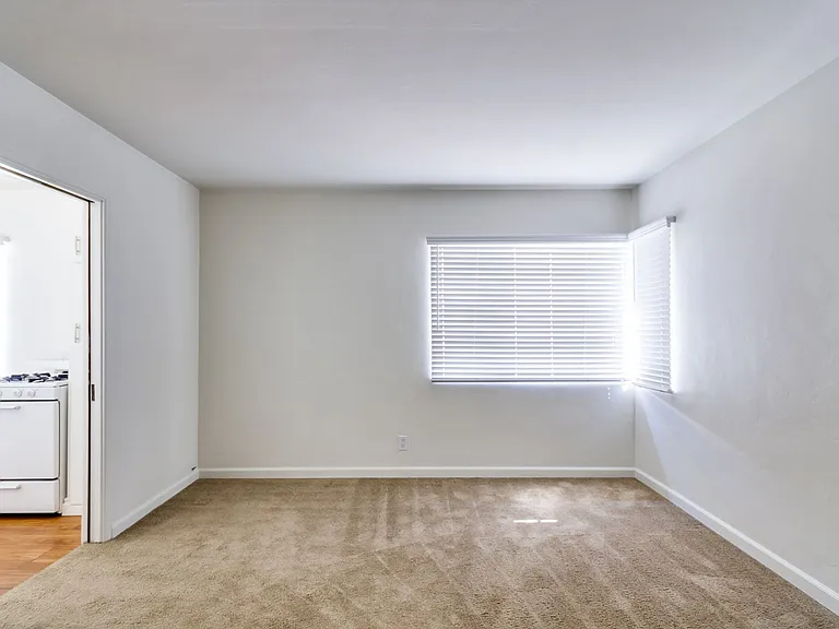 Antone Apartments — Photo 7