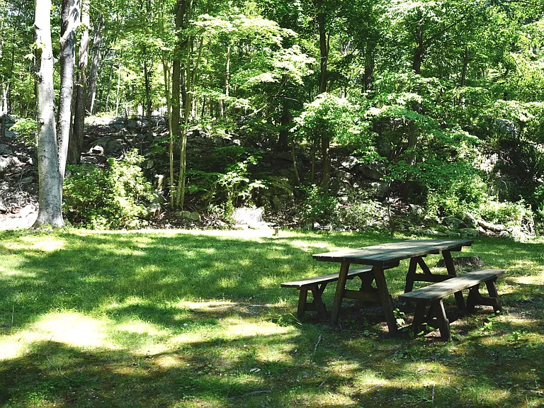 73 Moriarity Dr — Photo 21