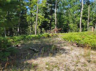 14542 Shoreline Dr, Wolverine, MI 49799