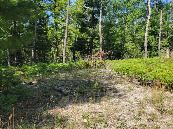 14542 Shoreline Dr, Wolverine, MI 49799