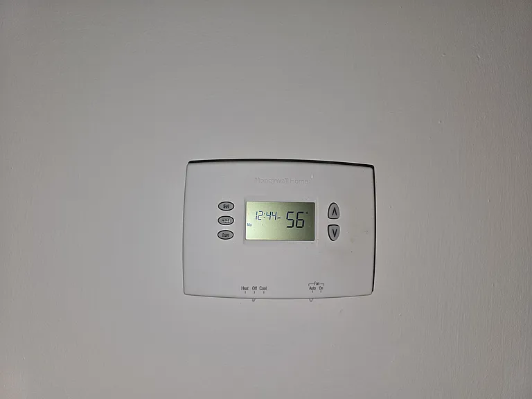 335 Mallory Ave #2 — Photo 14