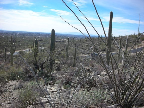 4th image of 10731 E Gibbon Canyon Pl