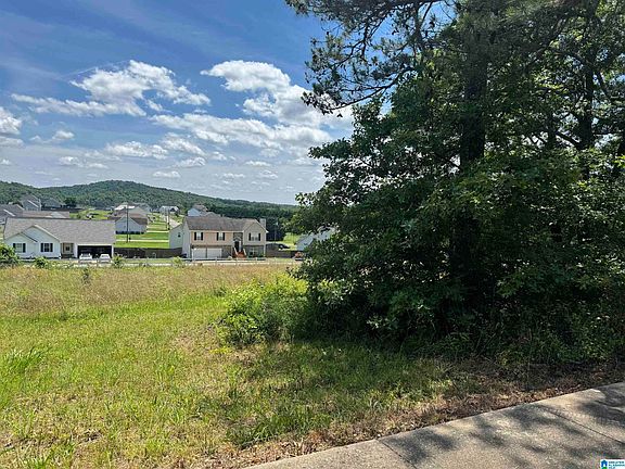 4th image of 80 Canaan Cir #6