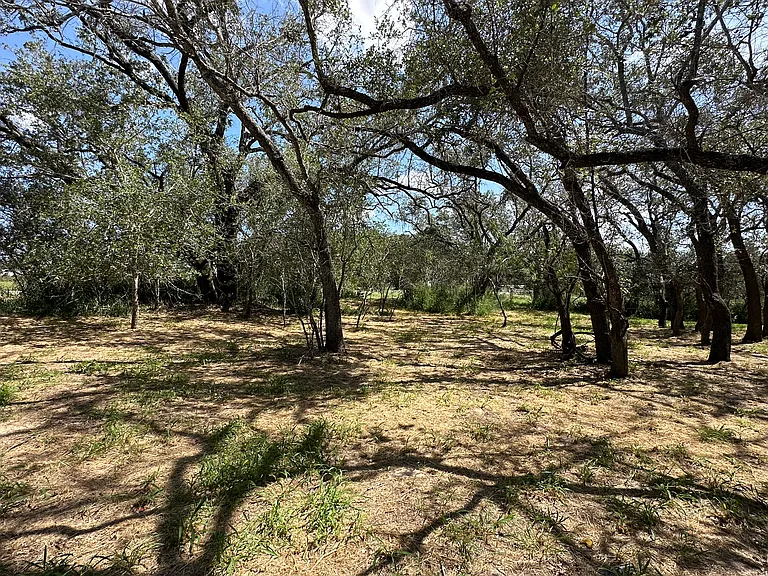 5161 County Road 302 — Photo 16