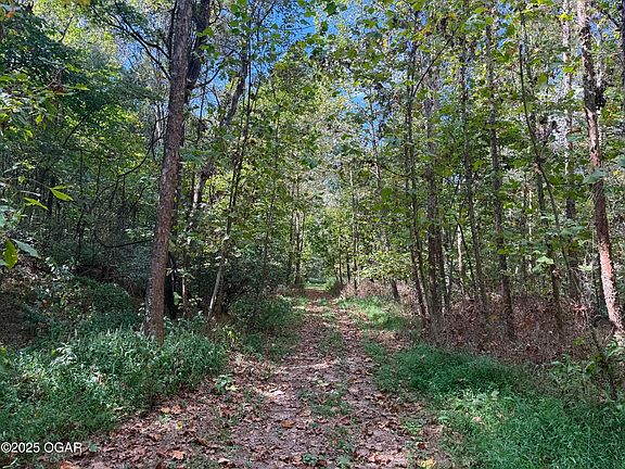 2nd image of 0 County Ln #175