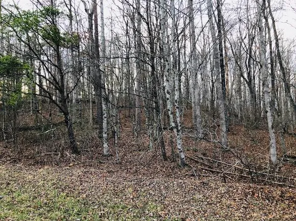 Sylvan Dr, Monterey, TN 38574