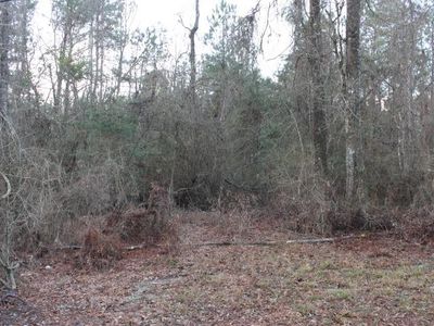 15110 E Paradise Park, Independence, LA, 70443