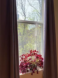 Rented by R New York