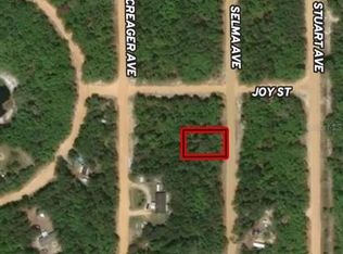 LOT 19 Selma Ave LOT 19, Interlachen, FL 32148