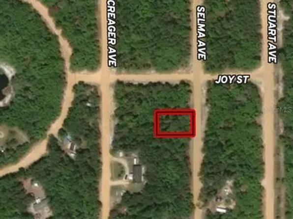 LOT 19 Selma Ave Lot 19, Interlachen, FL 32148