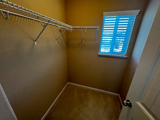 3800 Stafford Springs Way — Photo 40
