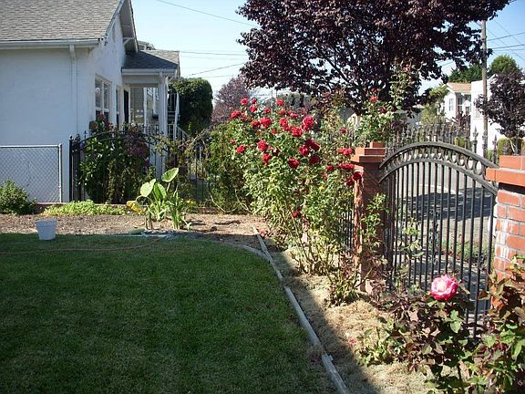 Large Side Yard with Pond