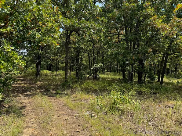 County Road 1405, Skiatook, OK 74070