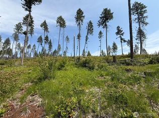 0 Lot 2 Rockabye Lane, Curlew, WA 99118