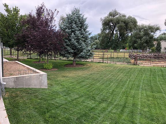 raised garden & back yard