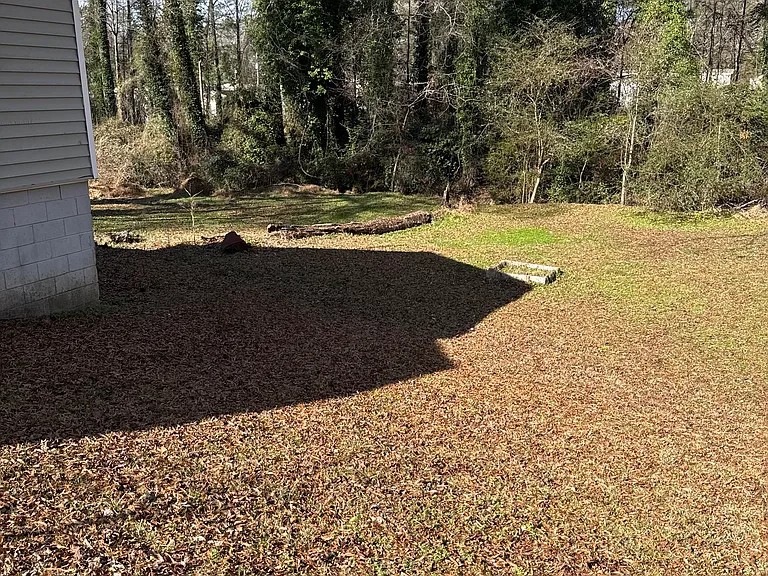310 Walker Dr — Photo 7