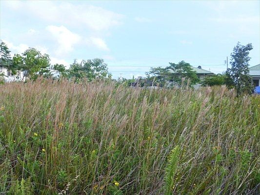 5th image of Kehauopuna St Lot 239