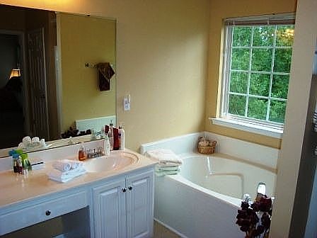 Master bath with garden tub and view of woods in backyard