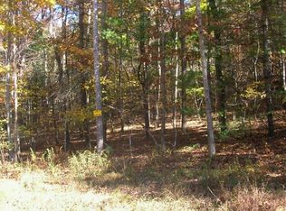 LOT 3 Peter Knob Rd, Blue Ridge, GA 30513