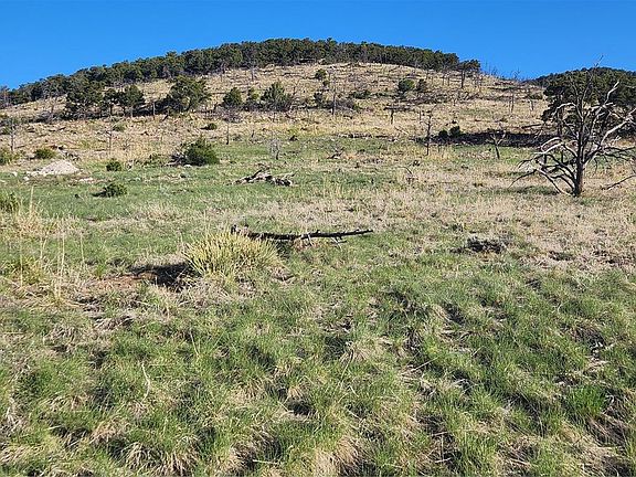 3rd image of TR-130 24th Trail