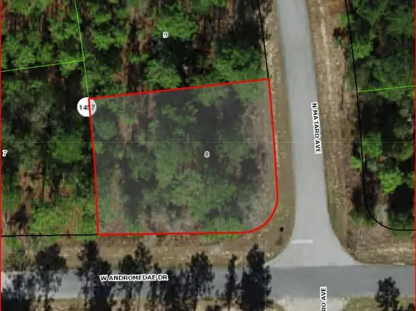 11016 N Mataro Ave, Citrus Springs, FL 34434