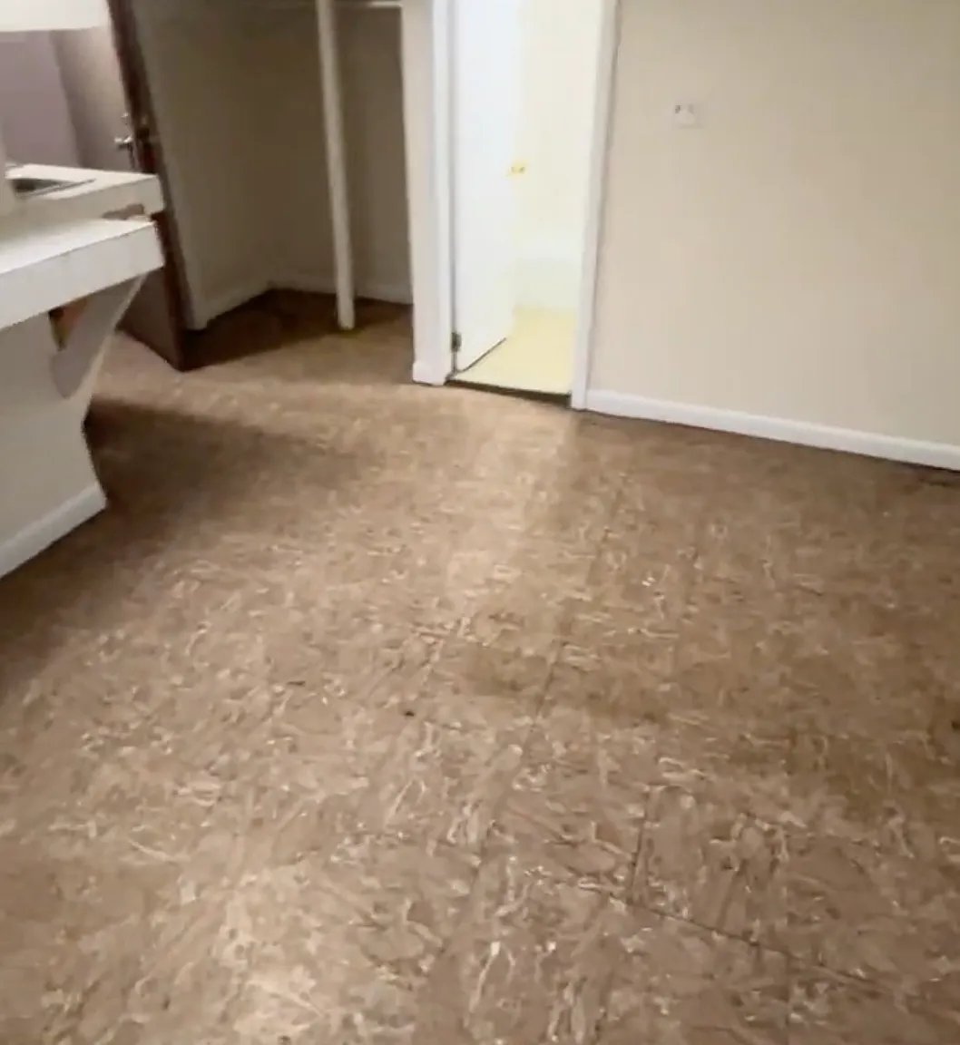 Studio, $1,625 — Photo 4