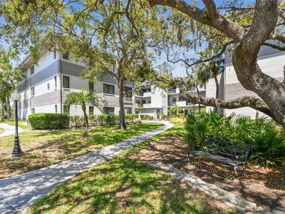 2650 Countryside Blvd APT B110, Clearwater, FL, 33761