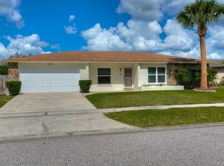 4205 Hollow Hill Dr, Tampa, FL 33624