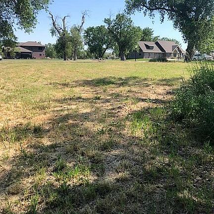 View from back of lot