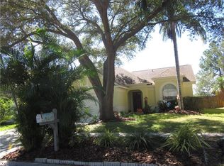 11137 Bramblebrush St, Tampa, FL 33624