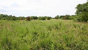 2nd image of 17.5 Ac Campbell Ln